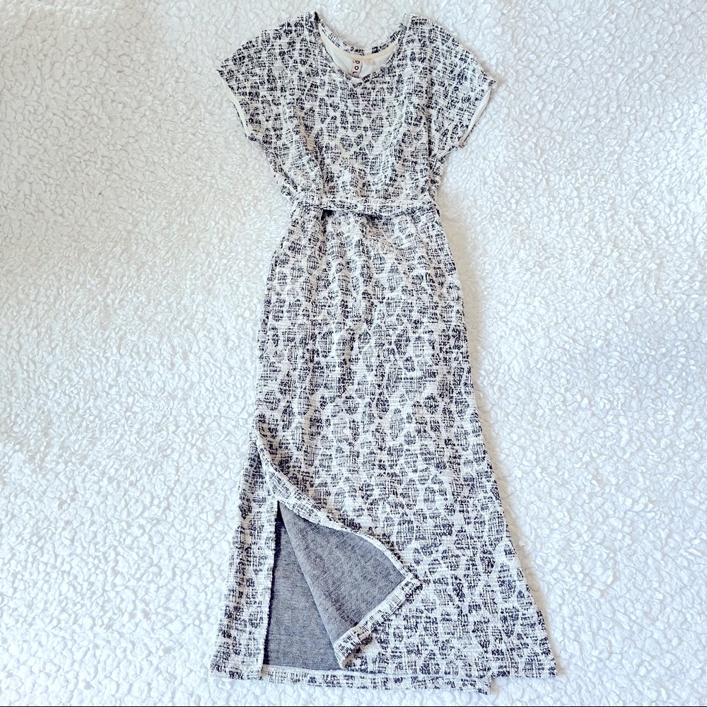 Anthropologie Dolan Dress